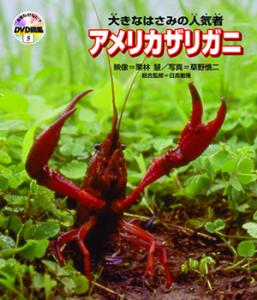 crayfish.jpg